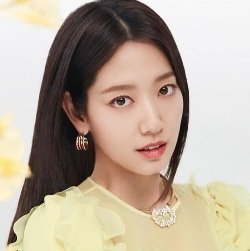 Park Shin-hye Biography, Age, Height, Affair, Husband, Children, Family, Facts, Wiki & More