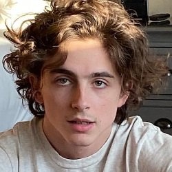 Timothee Chalamet (Actor) Biography, Age, Height, Weight, Girlfriend, Family, Facts, Wiki & More