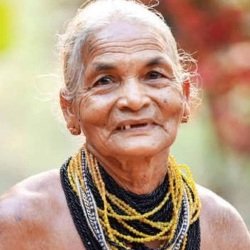 Tulsi Gowda (Environmentalist) Biography, Age, Husband, Children, Family, Facts, Caste, Wiki & More